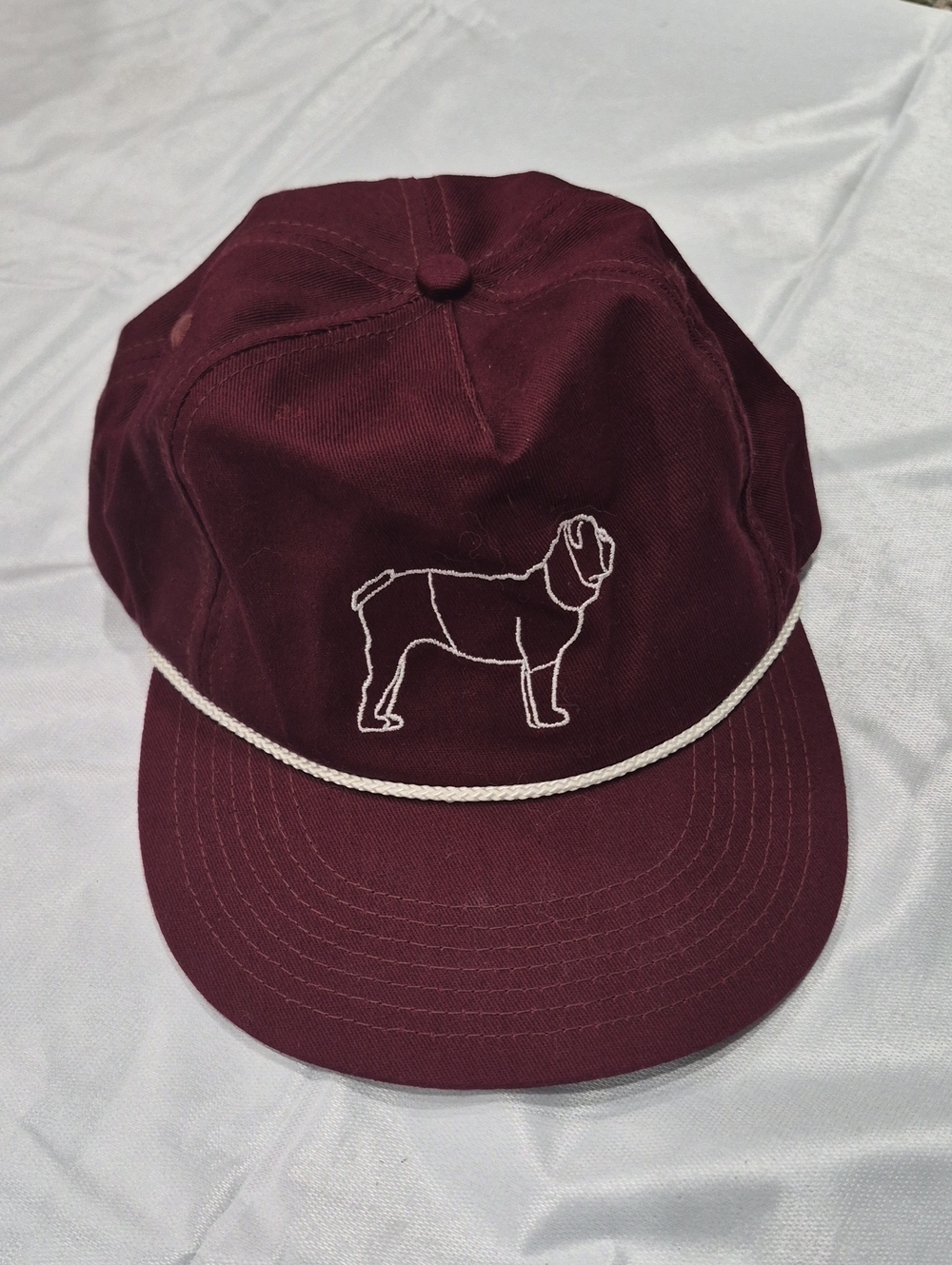 Hovi Dry Goods Snapback Hat